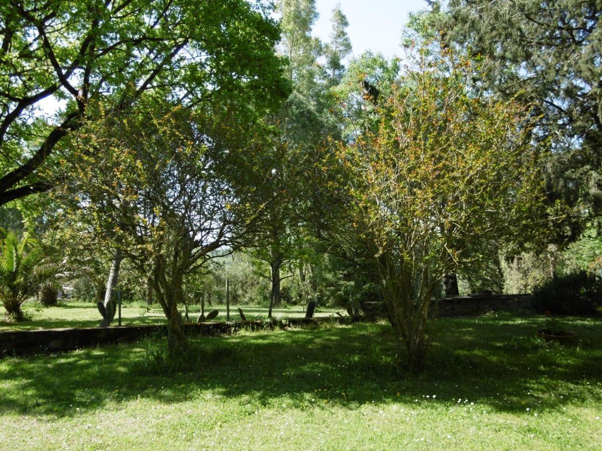 Poggetto Masino Villa Suvereto Buitenkant foto