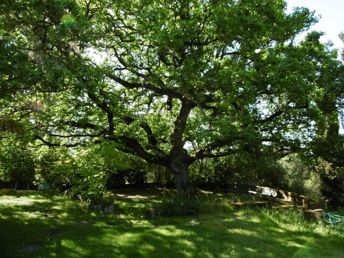 Poggetto Masino Villa Suvereto Buitenkant foto