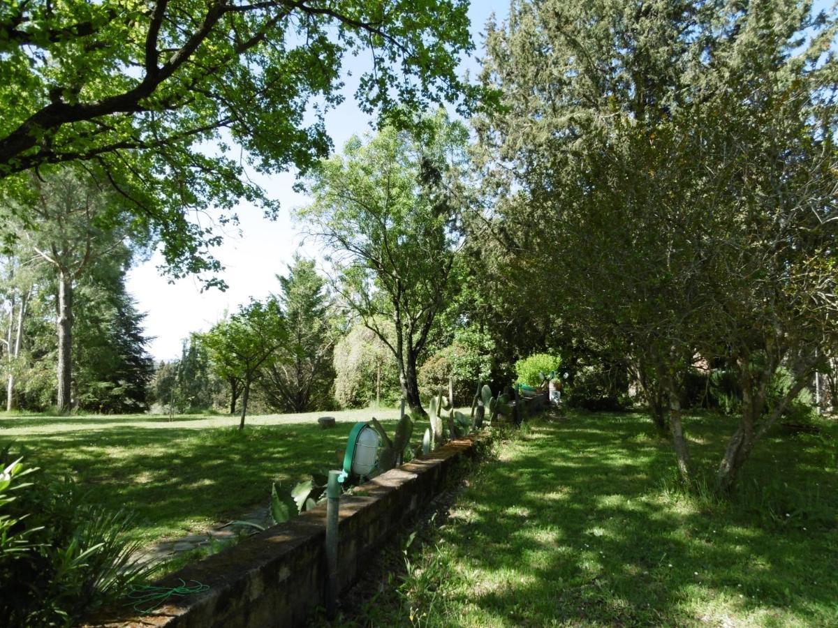 Poggetto Masino Villa Suvereto Buitenkant foto