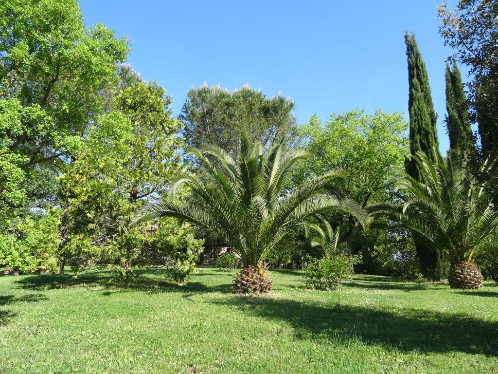 Poggetto Masino Villa Suvereto Buitenkant foto