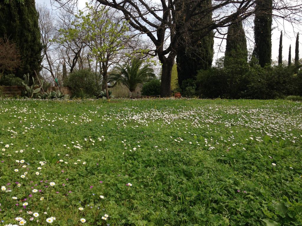 Poggetto Masino Villa Suvereto Buitenkant foto